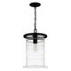 Noland 1-Light Mini Pendant