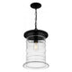 Noland 1-Light Mini Pendant