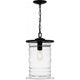 Noland 1-Light Outdoor Pendant