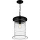 Noland 1-Light Outdoor Pendant