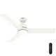 Aeronaut Outdoor Smart Fan with LED Light 52"