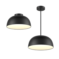 20" 2-in-1 Pendant/Flush Mount (Universal Driver)