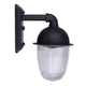 Seni 1-Light Outdoor Lantern