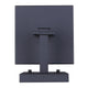 Shana 1-Light Outdoor Lantern
