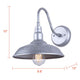 Desi 1-Light Outdoor Lantern