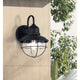 Alaric 1-Light Outdoor Lantern