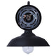 Hattie 1-Light Outdoor Lantern