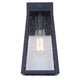 Coralea 1-Light Outdoor Lantern