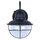Alaric 1-Light Outdoor Lantern