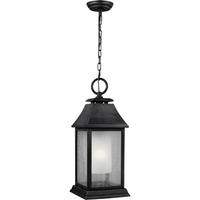 Shepherd 1-Light Outdoor Pendant