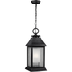 Visual Comfort Studio Collection - Shepherd 1-Light Outdoor Pendant - Lights Canada