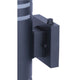 Braxton 2-Light Outdoor Lantern