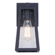 Coralea 1-Light Outdoor Lantern