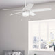 Anisten Fan with LED Light 52"