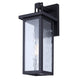Shana 1-Light Outdoor Lantern