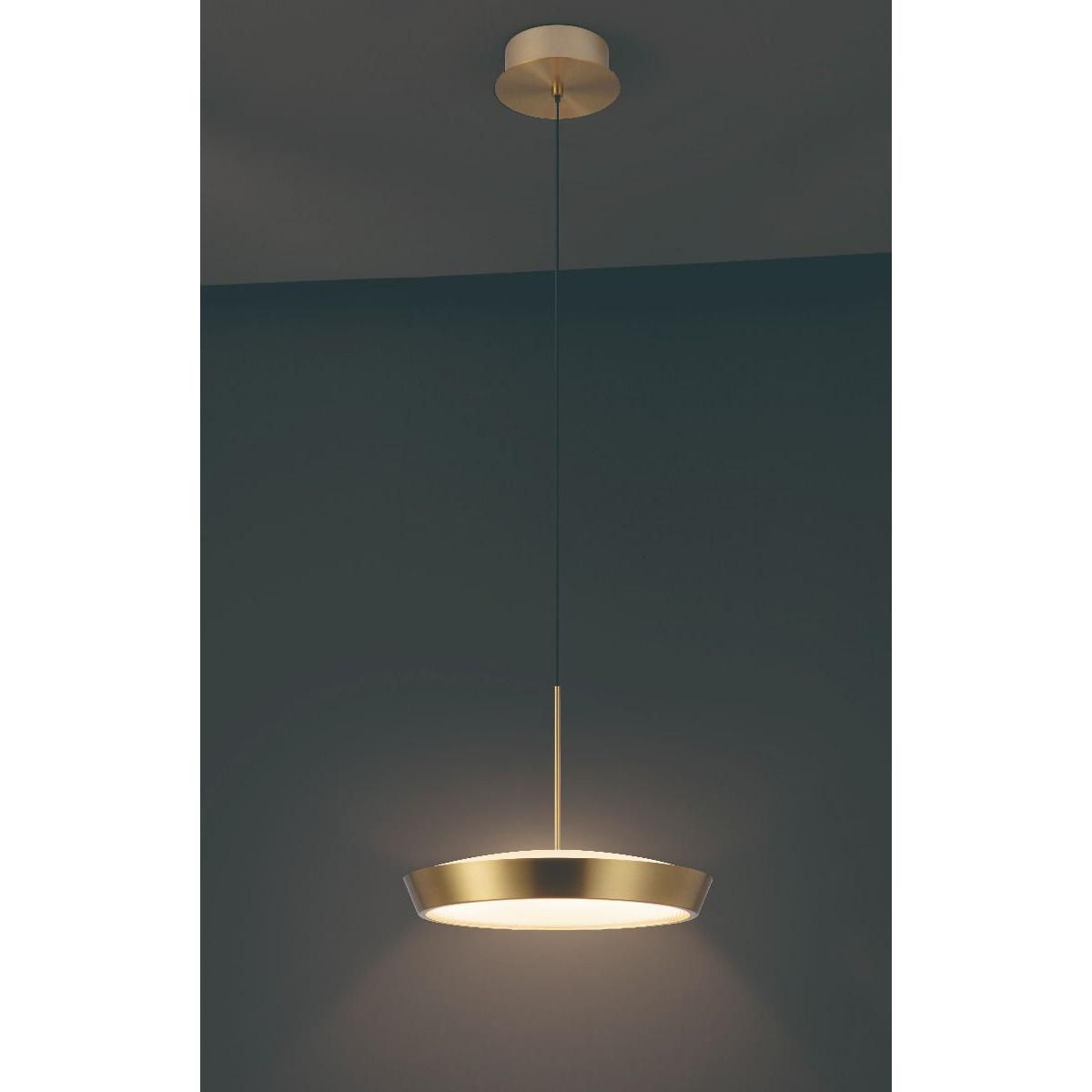 Rhythm 1-Light Pendant