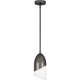 Haynes 1-Light Mini Pendant