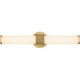 Kaye 22.5" LED Bath Light