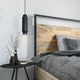 Cohen 1-Light Pendant