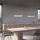 Pi 16" LED Pendant