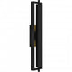 Pointsett Outdoor Lantern