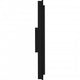 Pointsett Outdoor Lantern