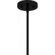 Peregrine 1-Light Pendant
