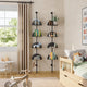 Solis Shelf