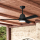 Aeronaut Outdoor Smart Fan with LED Light 52"
