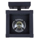 Shana 1-Light Outdoor Lantern