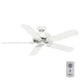 Panama DC 54" Fan
