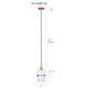 Eve 1-Light Pendant