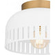 Keagan 1-Light Flush Mount