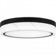 Gasper Flush Mount