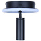 Denver 2-Light Track Lighting