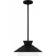 Lionel 1-Light Pendant