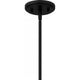 Rainier 4-Light Pendant