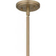 Renee 4-Light Pendant