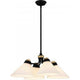 Graft 4-Light Pendant