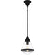 Hidalgo 1-Light Pendant