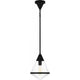Hidalgo 1-Light Pendant