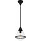 Hidalgo 1-Light Pendant