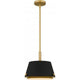 Scarlett 1-Light Pendant