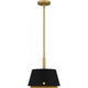 Scarlett 1-Light Pendant