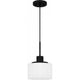 Callahan 1-Light Mini Pendant