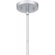 Driscoll 1-Light Pendant