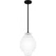 Driscoll 1-Light Pendant