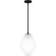 Driscoll 1-Light Pendant