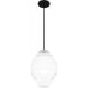 Driscoll 1-Light Pendant