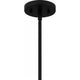 Driscoll 1-Light Pendant
